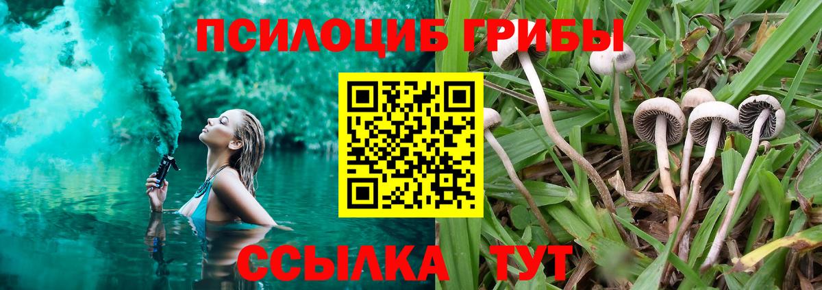 Галлюциногенные грибы ЛСД Псков