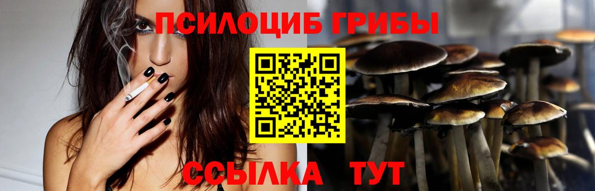 Псков  даркнет сайт  Вход с VPN  Галлюциногенные грибы прущие грибы 